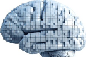nlp practitioner certification cost duration included